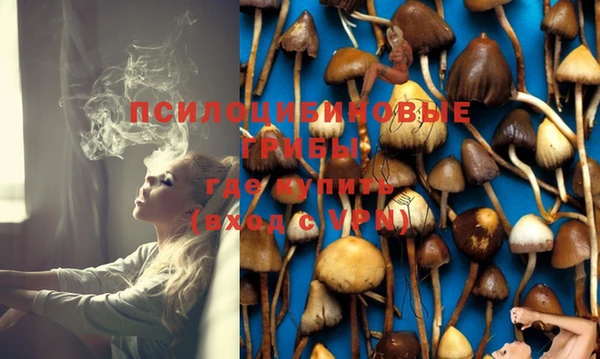не бодяженный Арсеньев