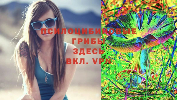ГАЛЛЮЦИНОГЕННЫЕ ГРИБЫ Алексеевка