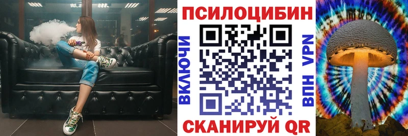купить   это какой сайт  Галлюциногенные грибы Psilocybe  Мытищи 